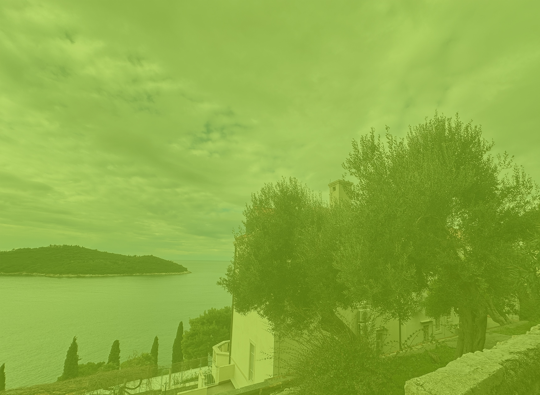 Centar za pružanje usluga u zajednici MaslinaVlaha Bukovca 5 – 20 000 DUBROVNIK Urbroj: 200-04-171/24.U Dubrovniku, 06. ožujka 2024. godine Temeljem članka 40. i 41. Zakona o Ustanovama „ Narodne […]